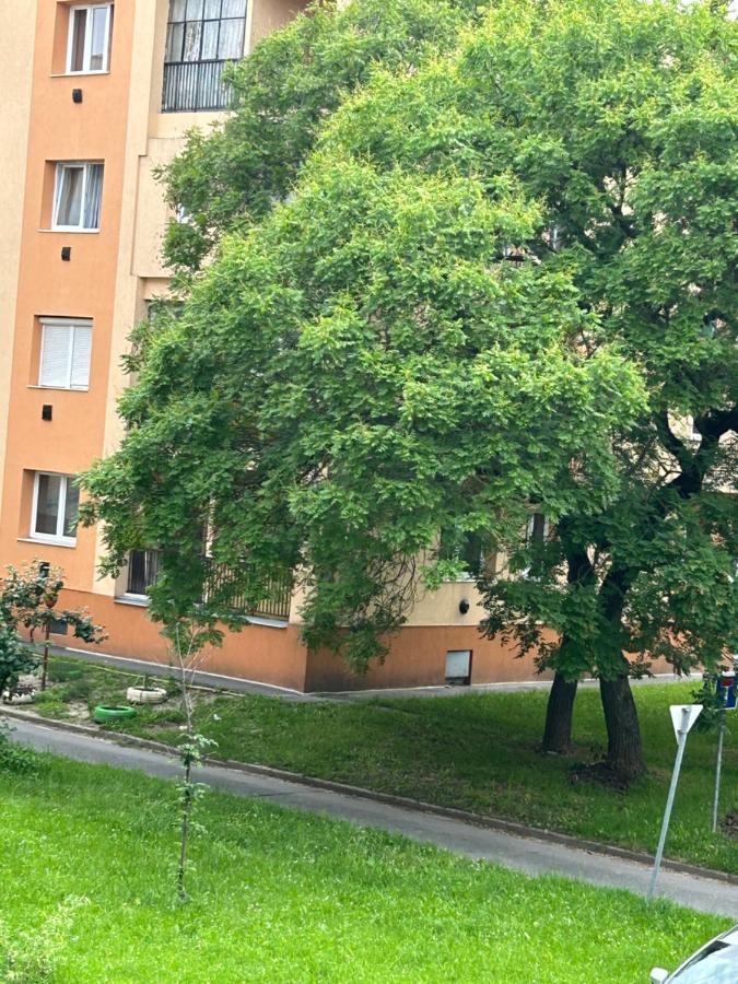 Apartament Sophie'S Urban Nest Miszkolc Zewnętrze zdjęcie